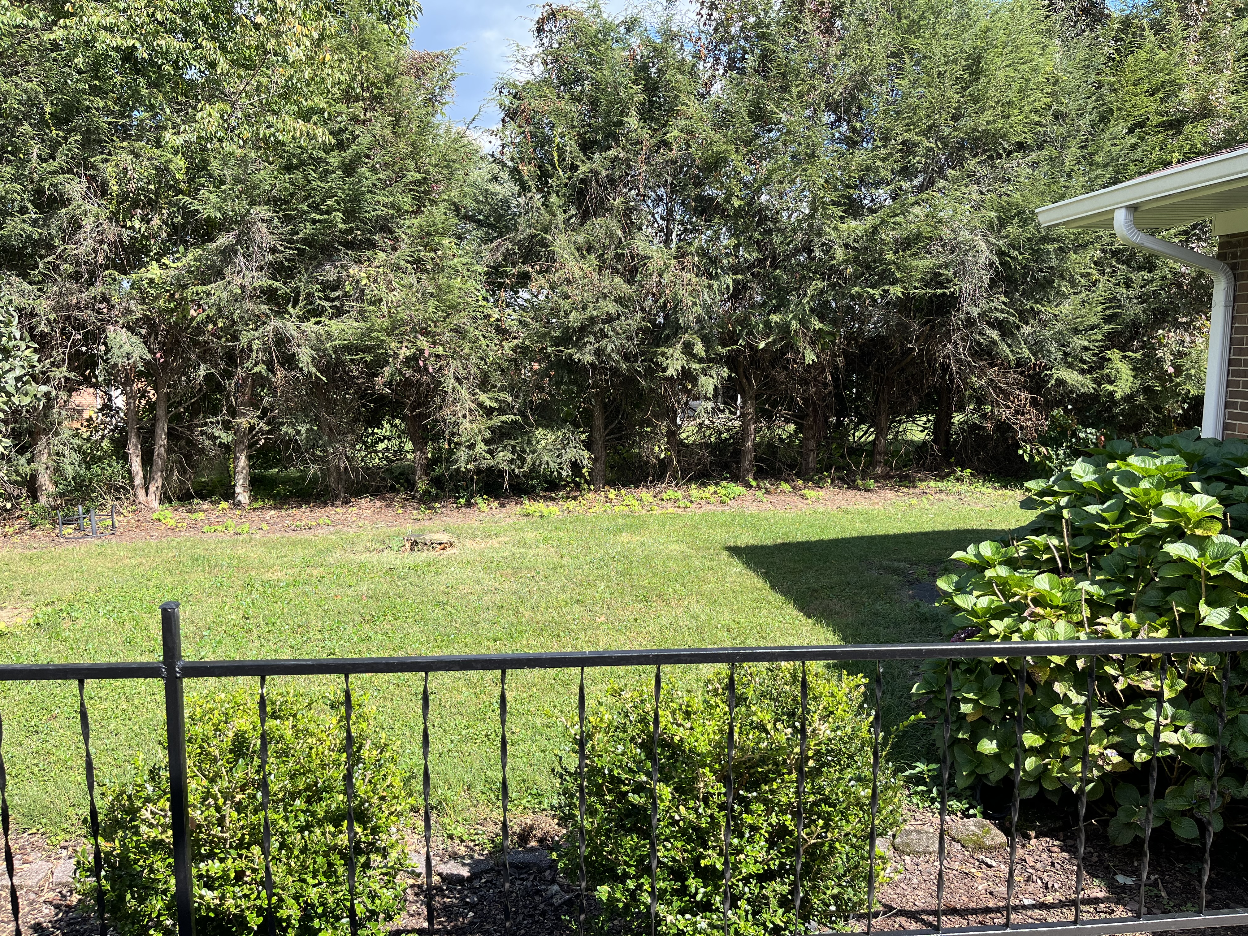 3 Northvale Ct, TN