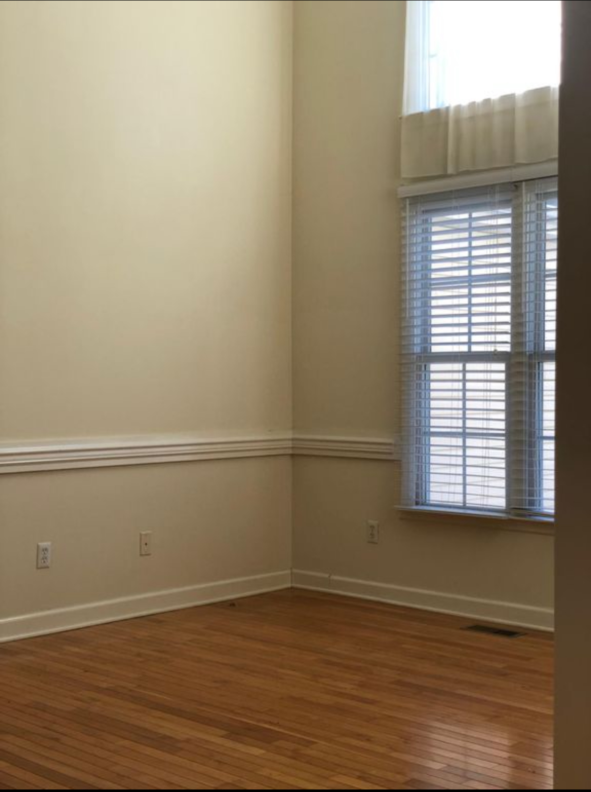 3 Willow Tree Ct - Johnson City, TN