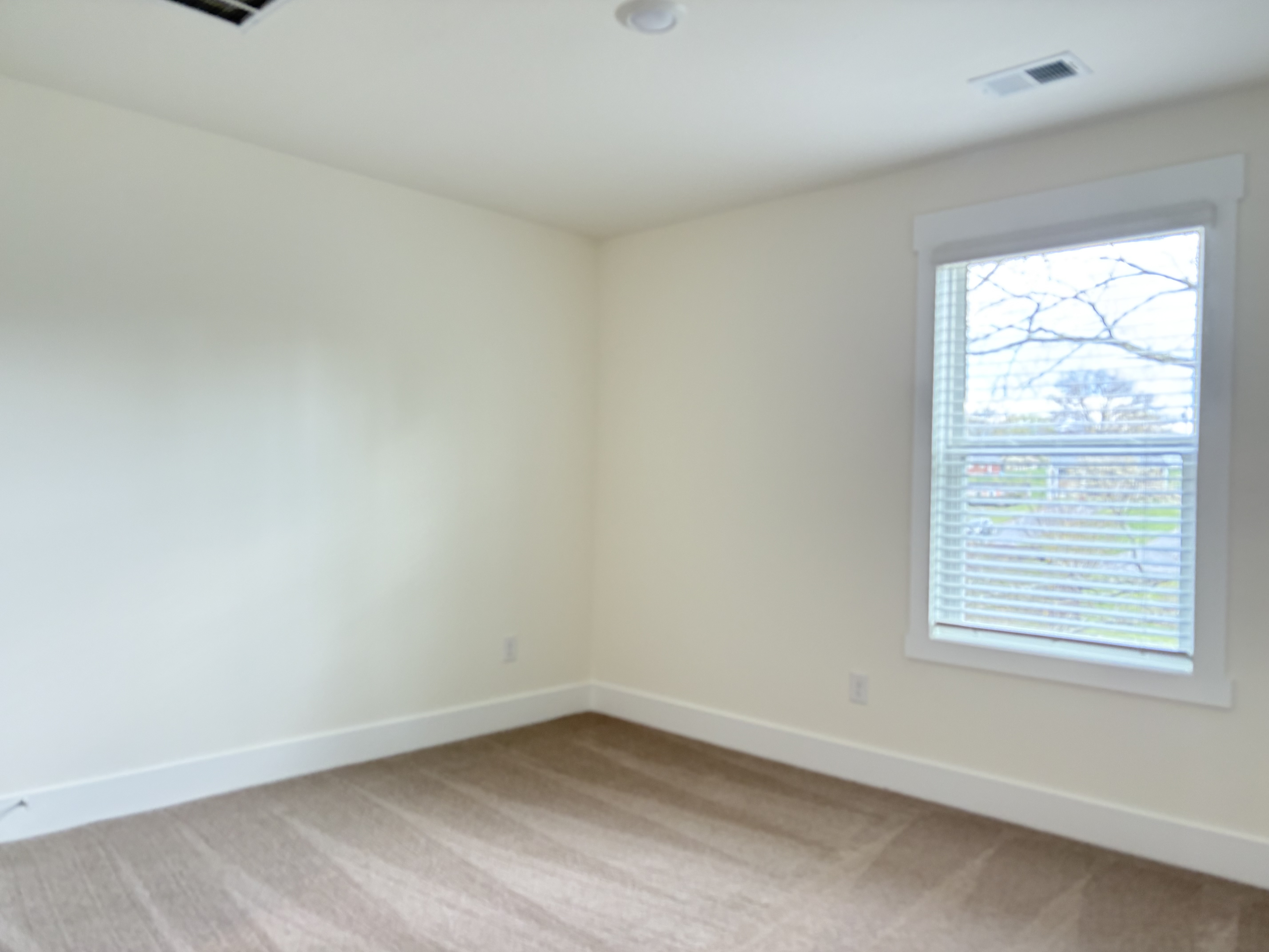 363 Alta Tree Blovd - Johnson City, TN