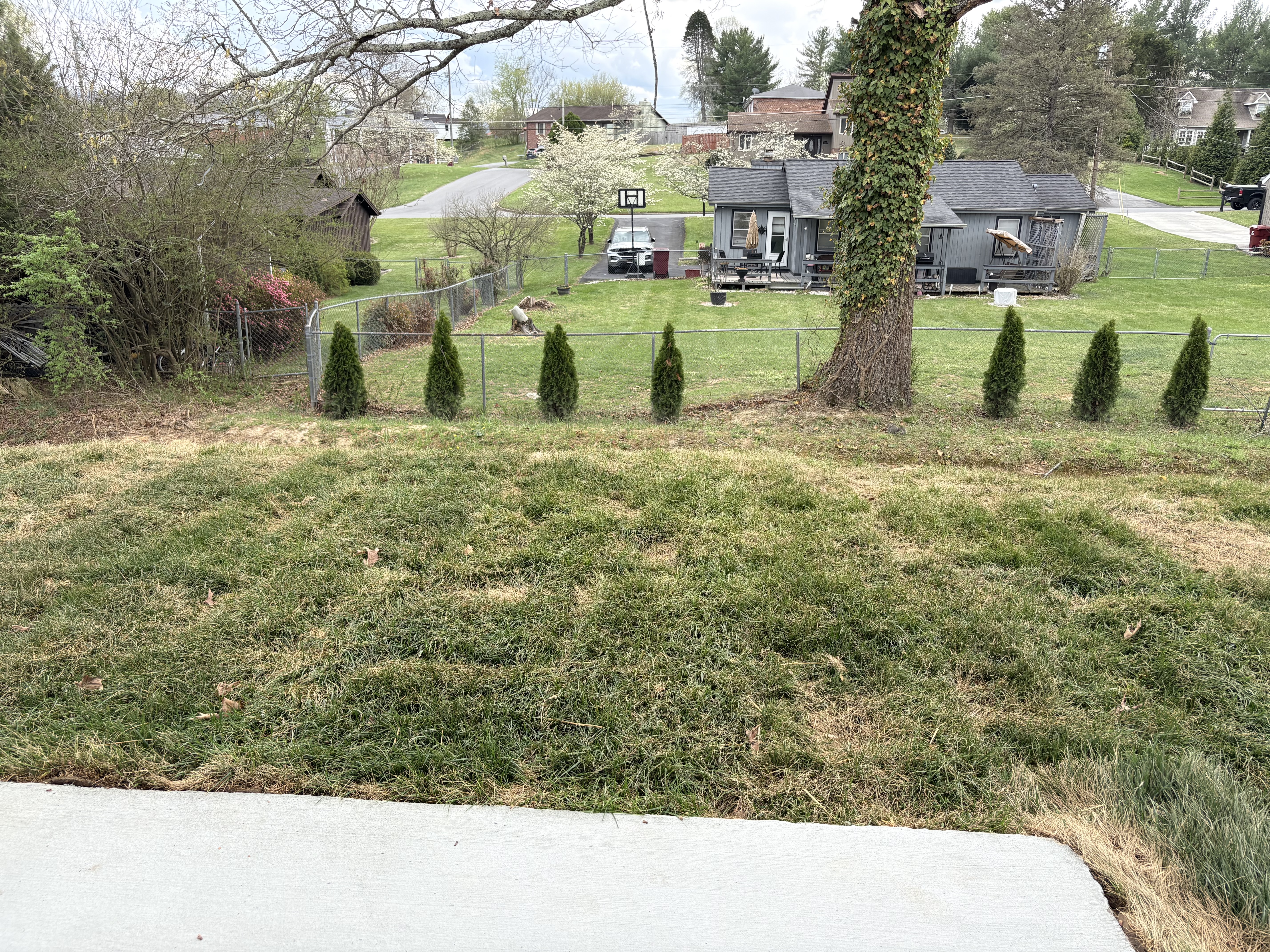 363 Alta Tree Blovd - Johnson City, TN