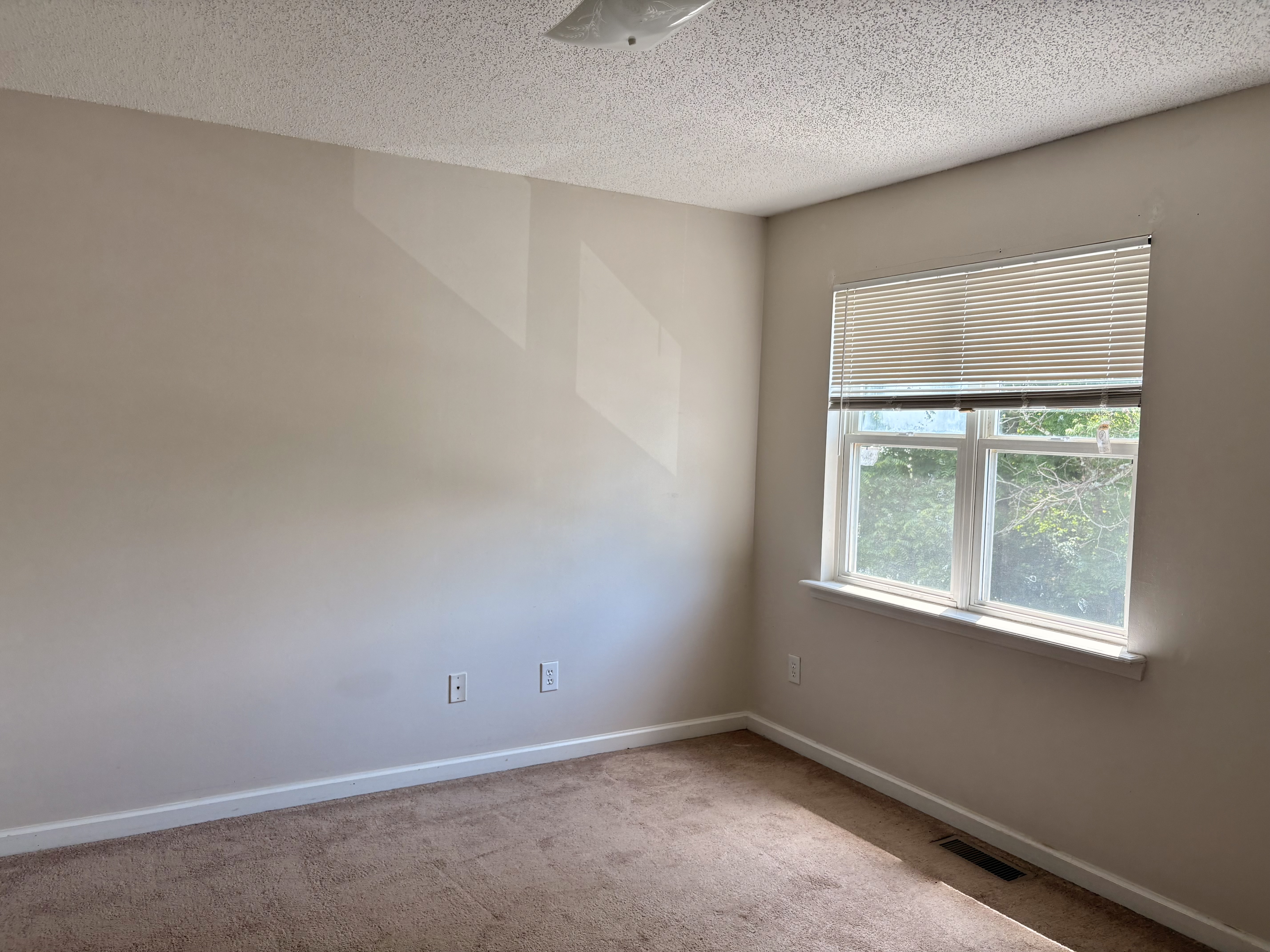 409 S Beech St - Apt 2, TN