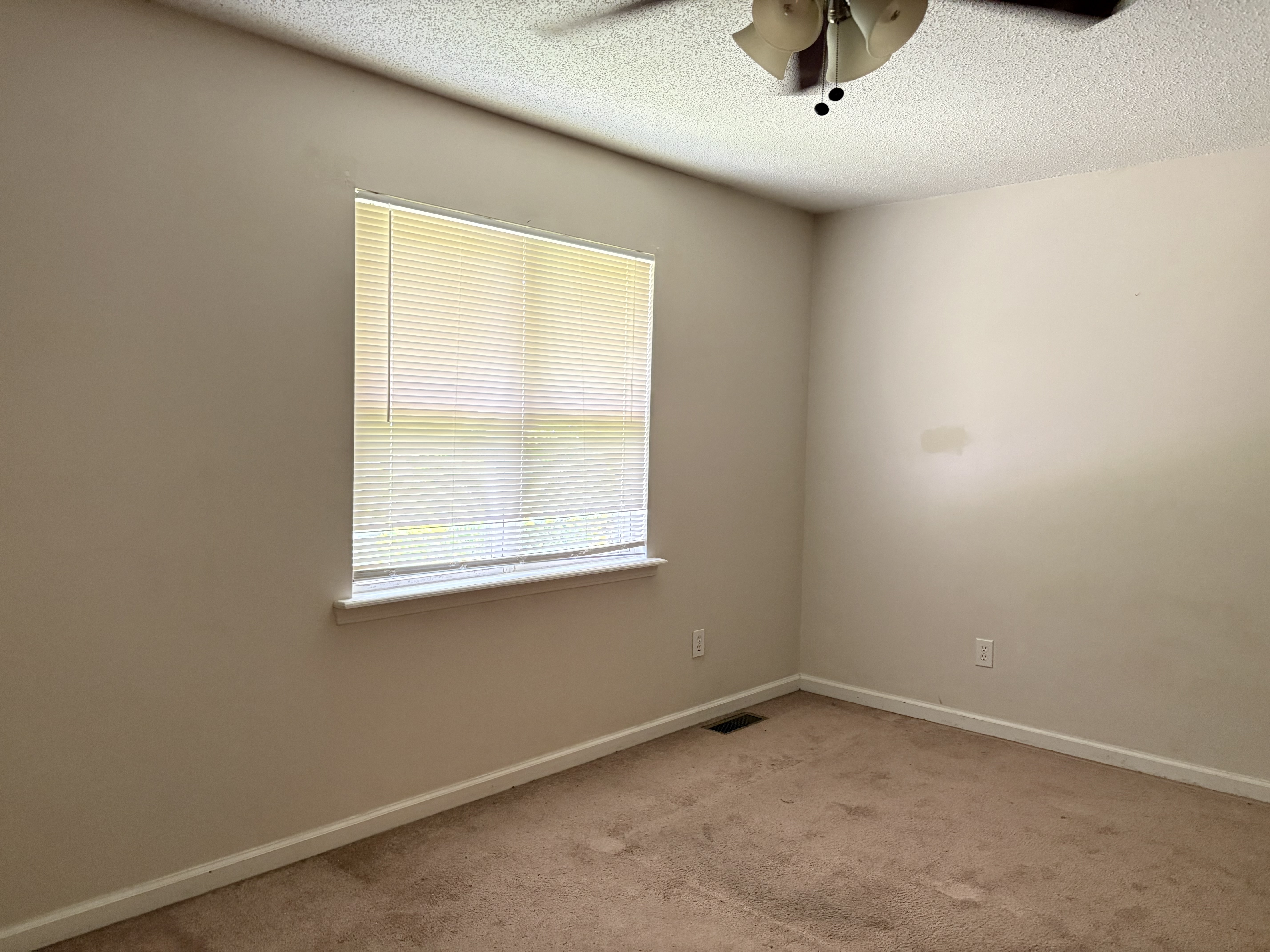409 S Beech St - Apt 2, TN